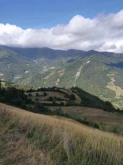 Encanto Asturiano Aller Buitenkant foto